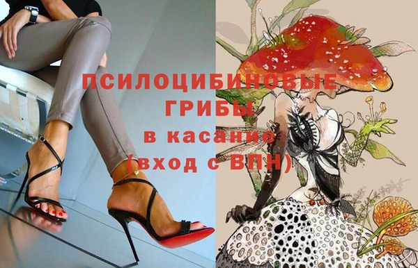 скорость Медвежьегорск